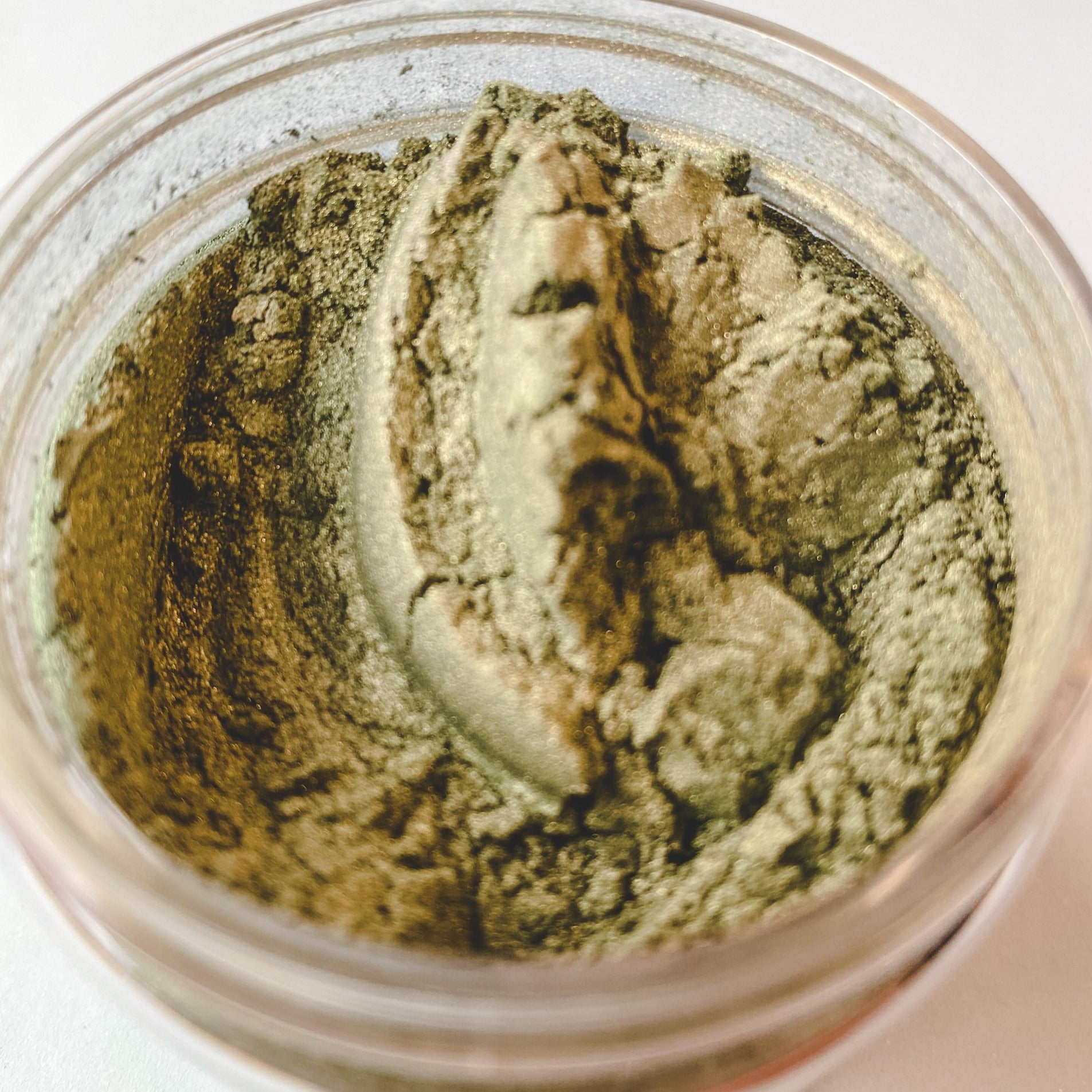 Yellow Ochre  Mica - Morphs in CP - Ethically Sourced and Cruelty Free