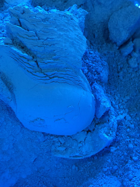 Blue Fluorescent Color - Ethically Sourced and Cruelty Free