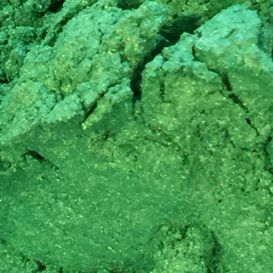 Pearl Green Mica - Ethically Sourced and Cruelty Free