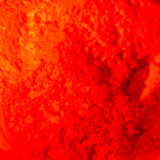 Orange Red - Ethically Sourced and Cruelty Free